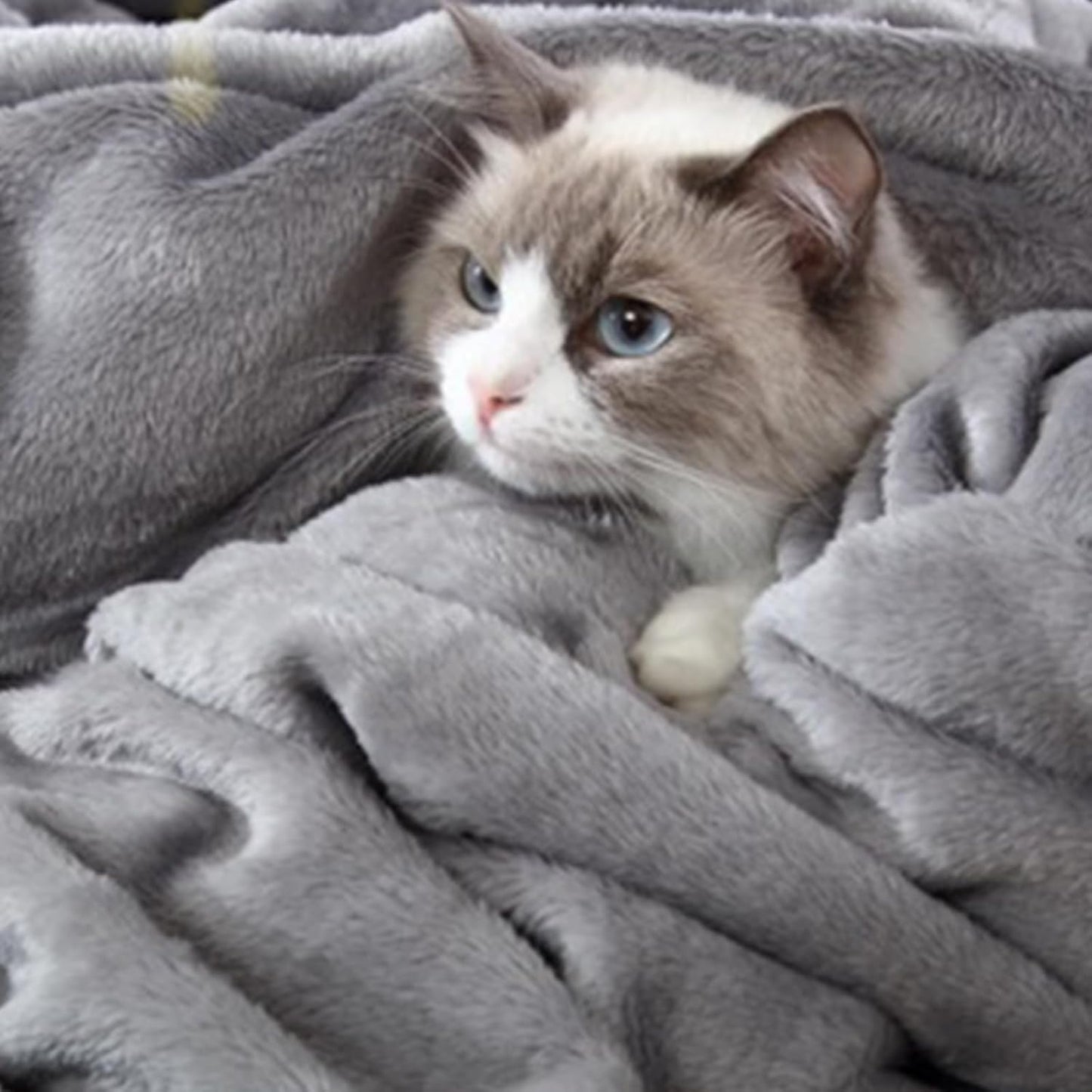 Queen Size Grey Fleece Blanket Super Soft Plush Flannel Blanket 90x90 Inches